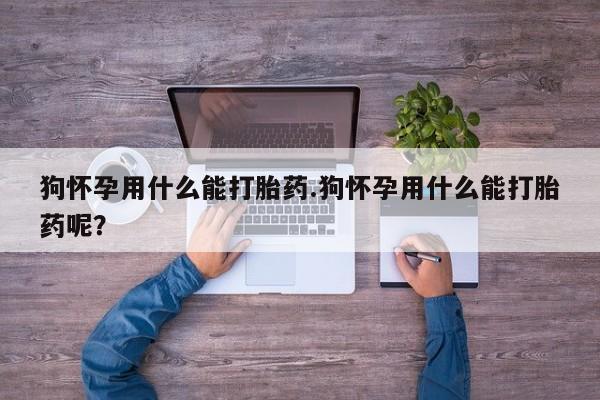 打胎药专卖微信全国包邮狗怀孕用什么能打胎药.狗怀孕用什么能打胎药呢？