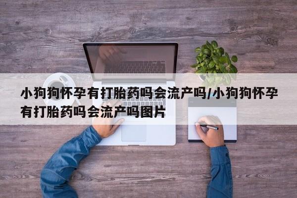 打胎药专卖微信全国包邮小狗狗怀孕有打胎药吗会流产吗/小狗狗怀孕有打胎药吗会流产吗图片