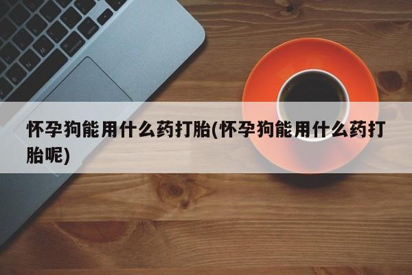 打胎药专卖微信全国包邮怀孕狗能用什么药打胎(怀孕狗能用什么药打胎呢)